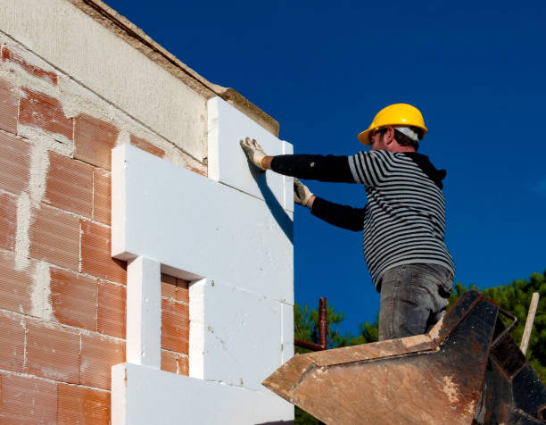 Best Specialized Insulation Services in Odem, TX