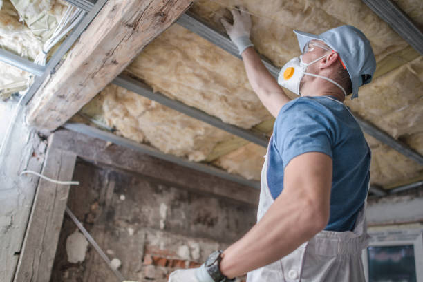 Best Cellulose Insulation in Odem, TX