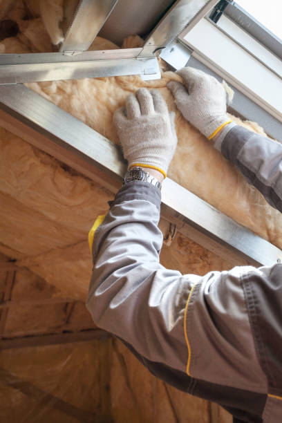 Best Fiberglass Insulation in Odem, TX