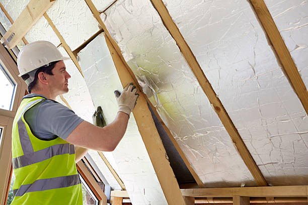 Best Insulation Maintenance and Repair in Odem, TX