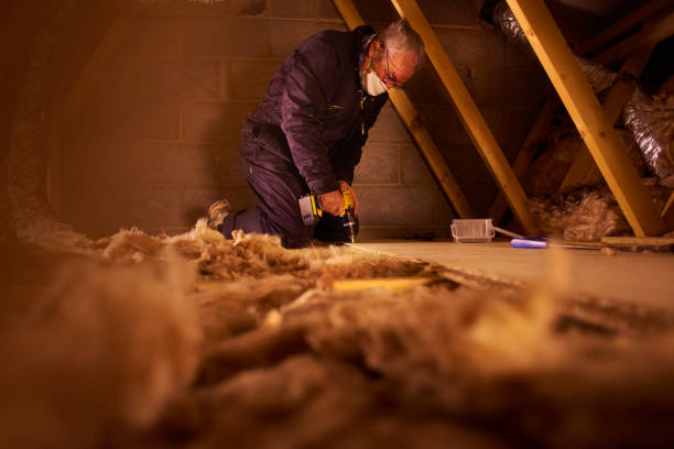 Best Spray Foam Insulation in Odem, TX